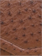 Ostrich Clutch