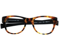 Large Rectangular Frame Mottled Tortoise
