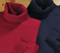 Cashmere Turtleneck