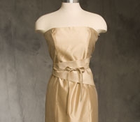 Strapless Tie Waist Dress in Beige