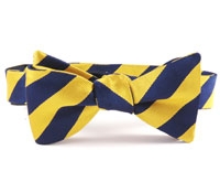 BS07- Navy, Gold