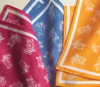 Cotton Pocket Squares Turtles