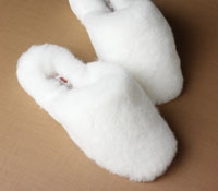 Ladies Slippers