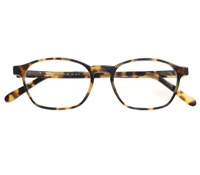 Light Tortoise Semi-Square Frame