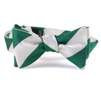 BS01- Forest Green