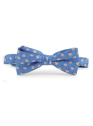 Boys Blue and Pink Lady Bug Bow Tie