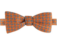 Ben Silver Printed Bow Ties