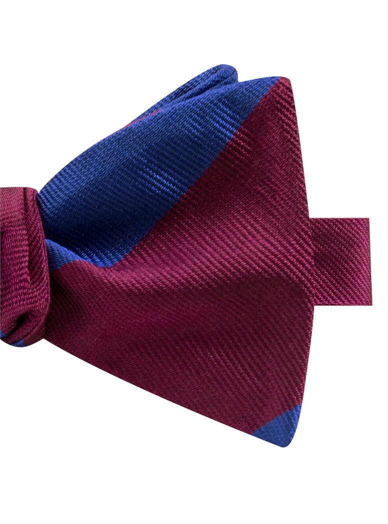 BR183- Royal Welch Fusiliers