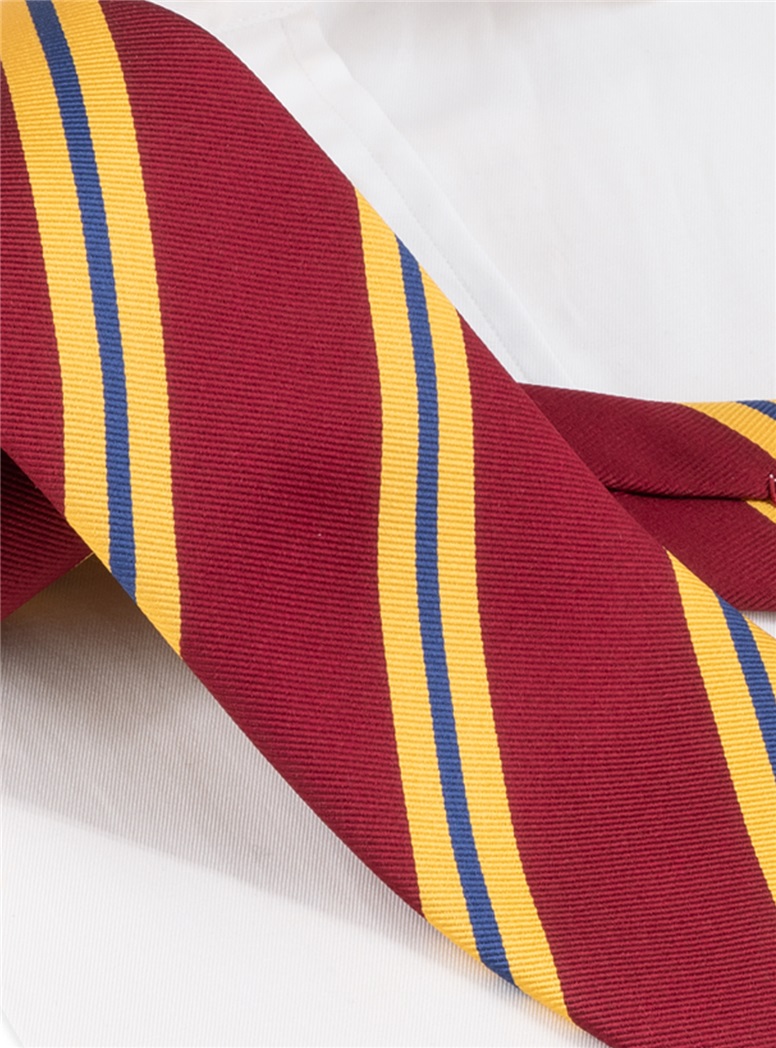 Silk Striped Tie in Wine and Gold