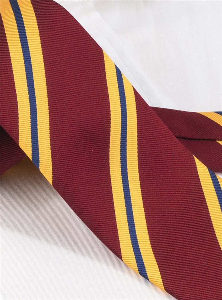 Silk Striped Tie in Wine and Gold