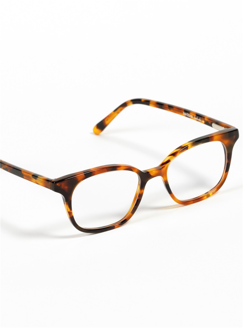 Slender Tip Frame in Tortoise