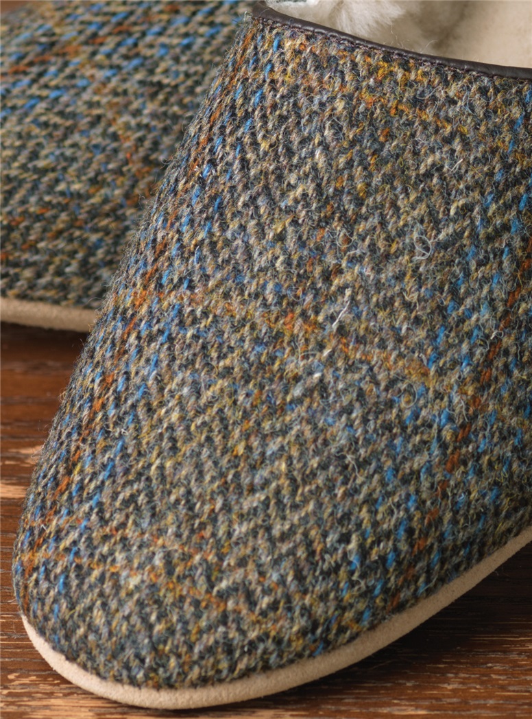 The Lewis Slipper in Earth