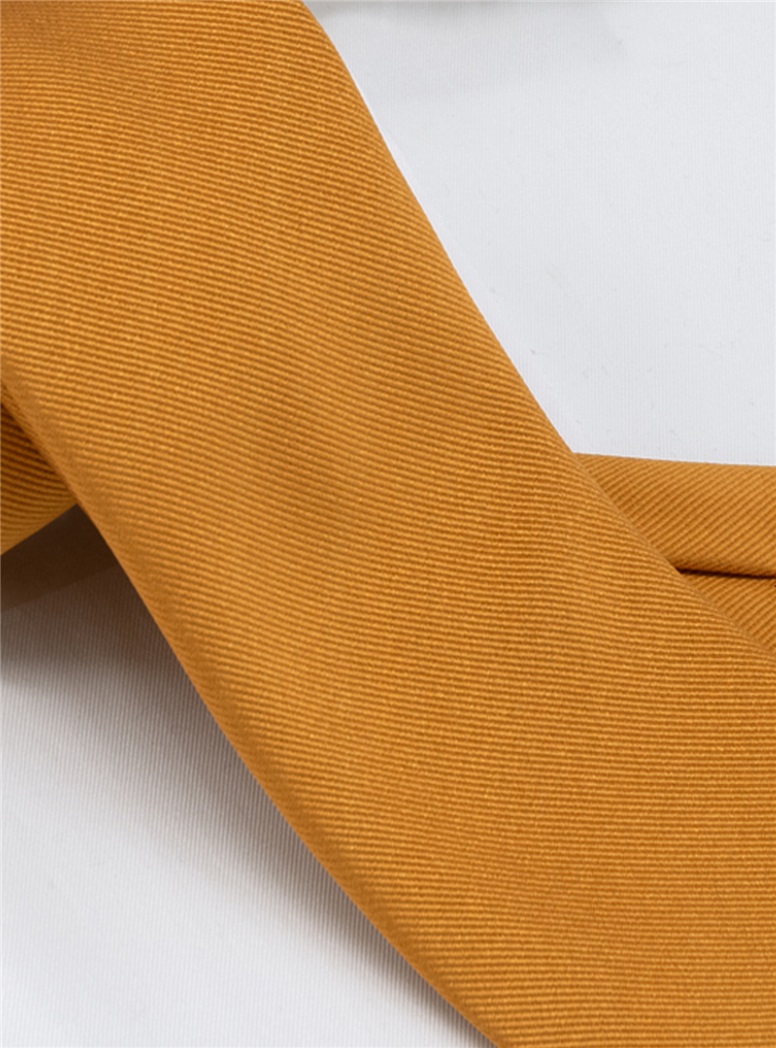 Silk Signature Solid Tie in Amber