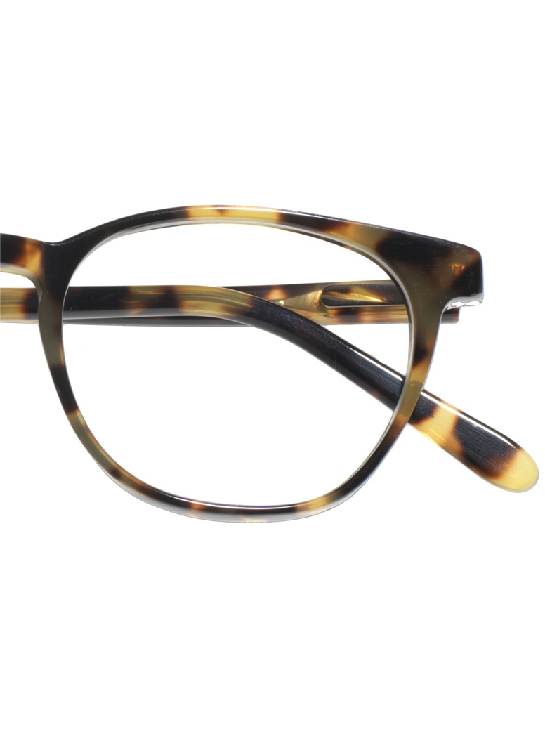 Semi-Square Frame in Tokyo Tortoise