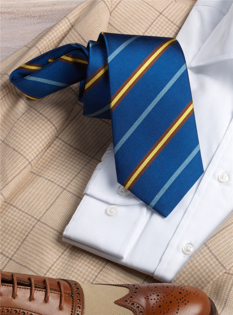 Cambridge Old Salopian Tie