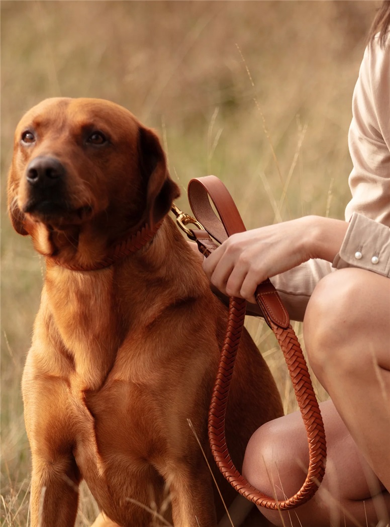 Plaited Leather Dog Lead in Tan
