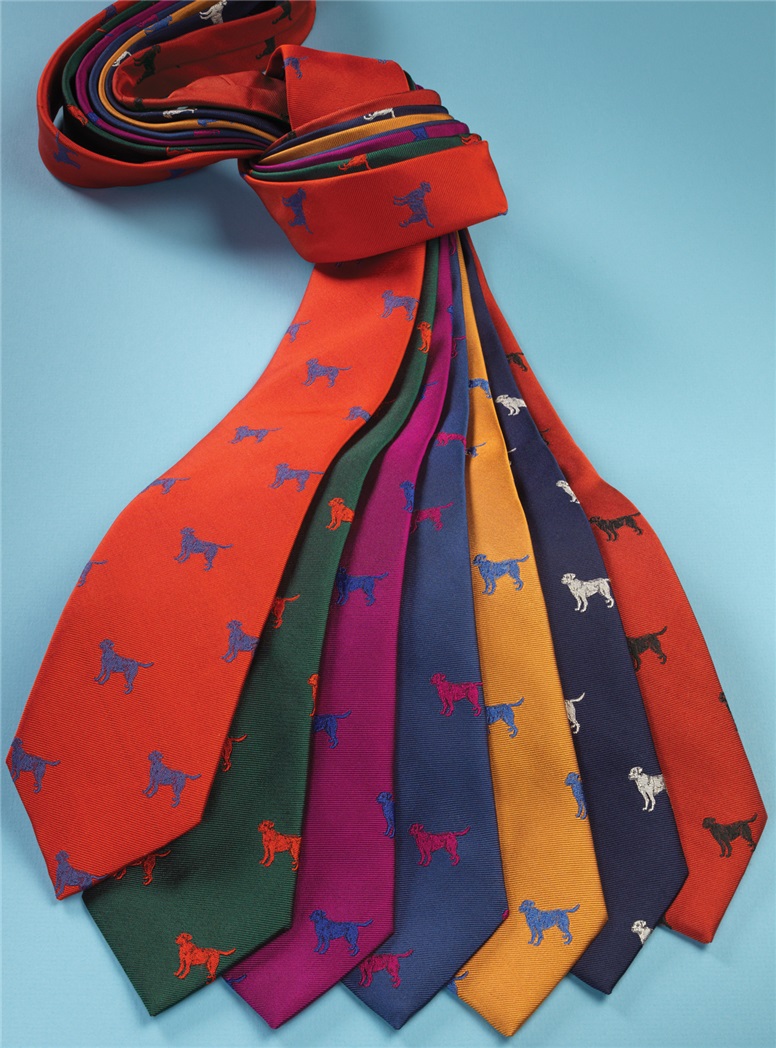 Jacquard Woven Lab Motif Tie in Ruby and Black