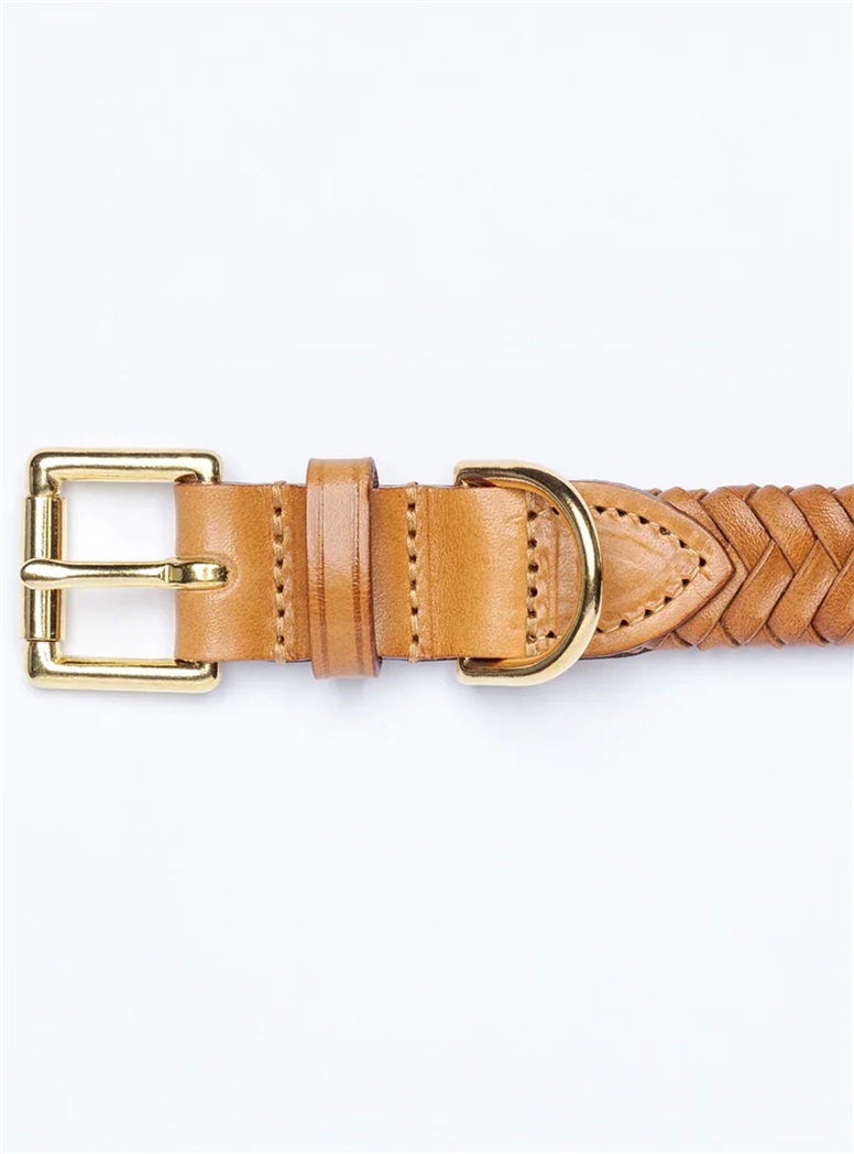 Plaited Leather Dog Collar in Tan
