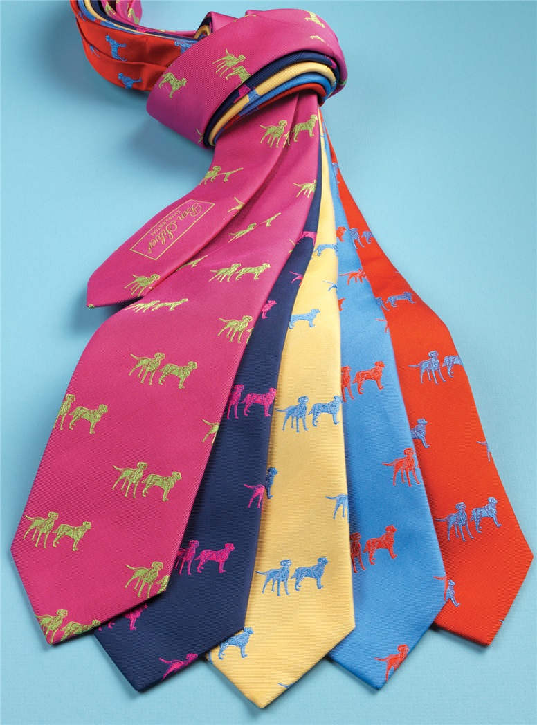 Silk Woven Lab Motif Tie in Sun