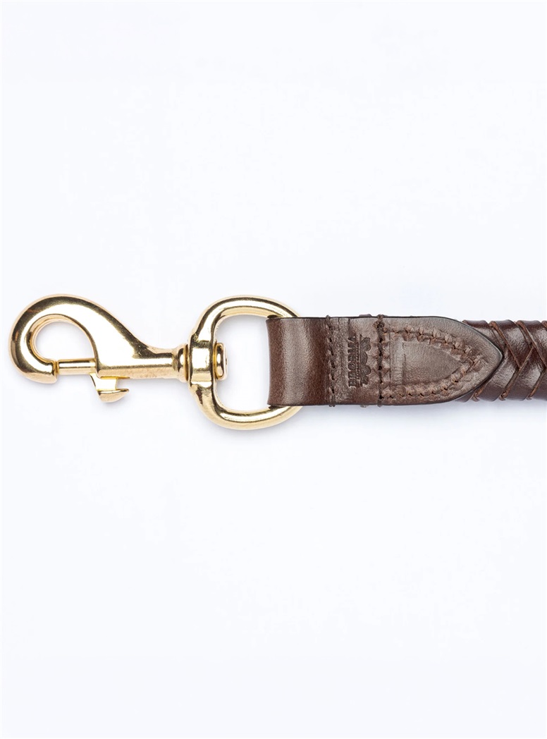Plaited Leather Dog Lead in Dark Brown