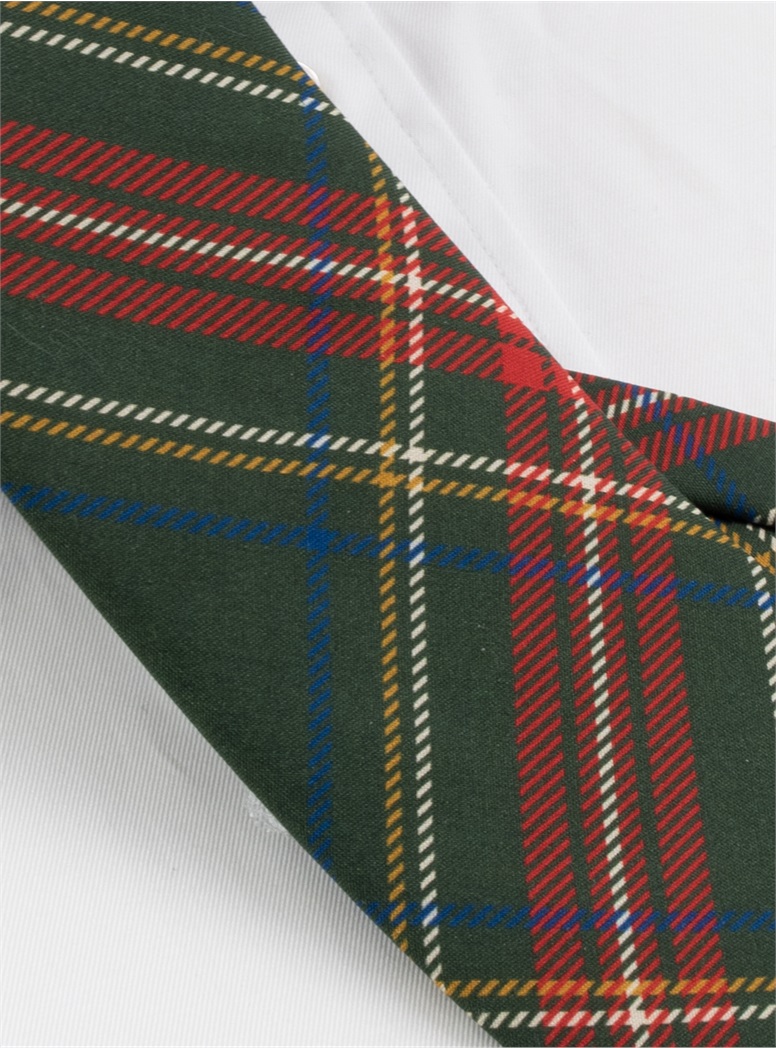 Silk Tartan Printed Tie in Forest