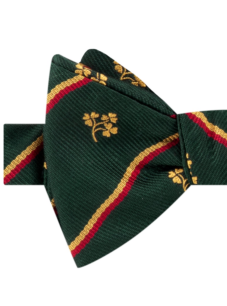 BJ07- Irish Cricket Union