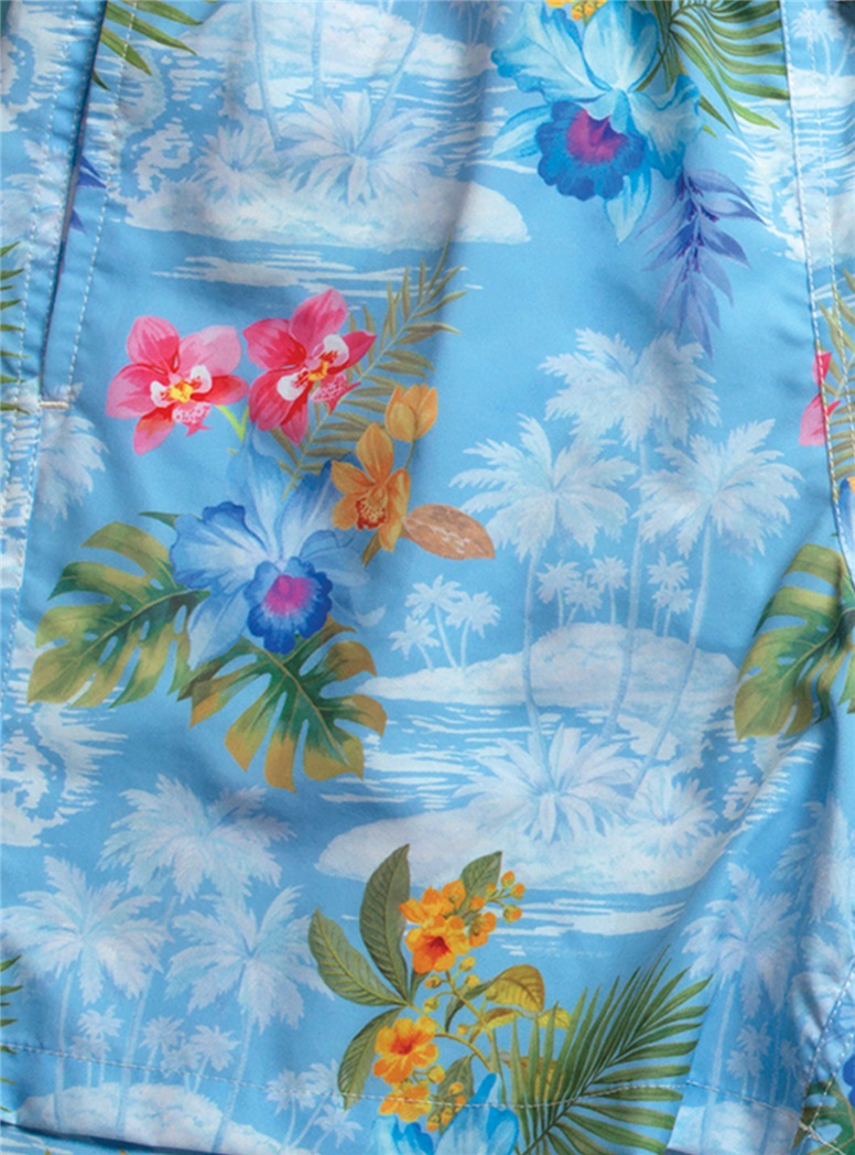 Island Printed Swim Trunks in Sky