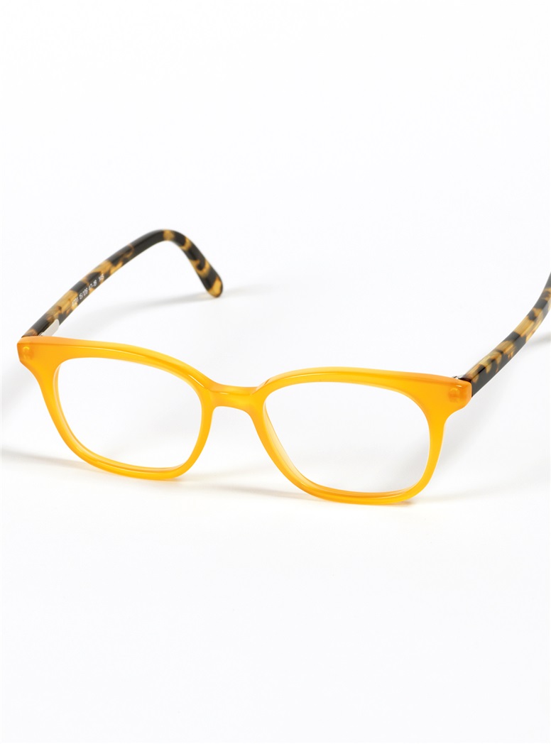 Slender Tip Frame in Orange with Tortoise Temples