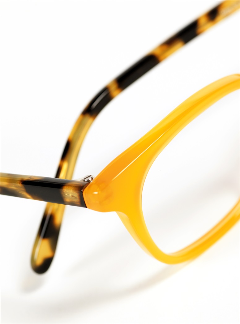 Slender Tip Frame in Orange with Tortoise Temples