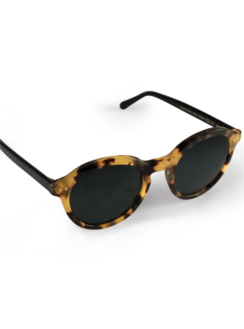 Bold Classic Sunglasses in Tortoise with Black Temples