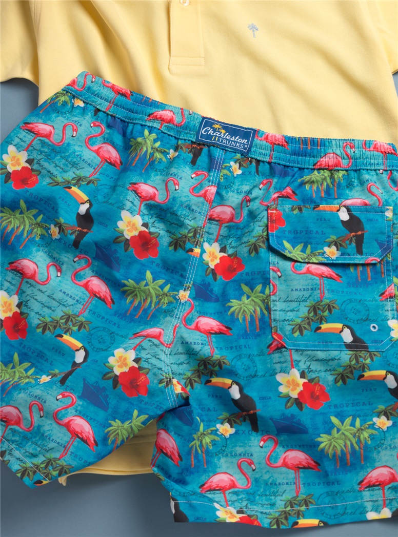 Postcard Print Charleston Trunks