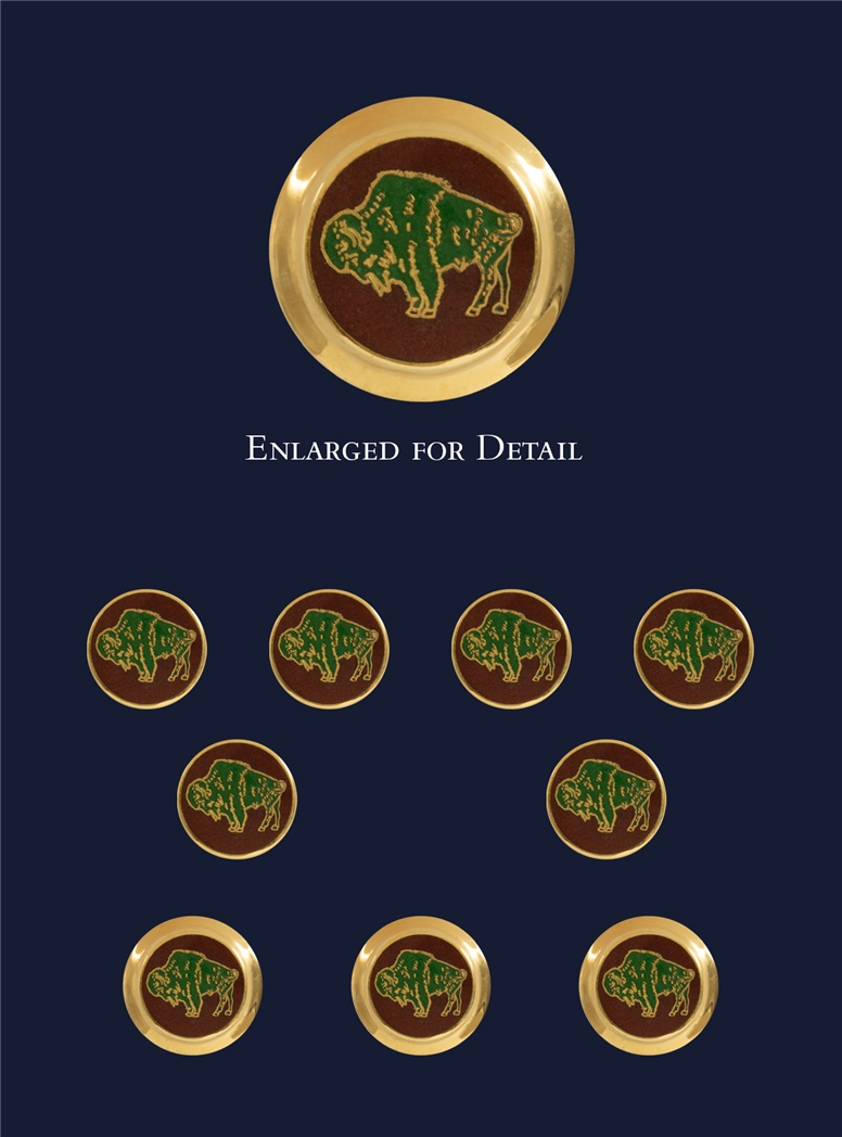 Buffalo Blazer Buttons with Enamel