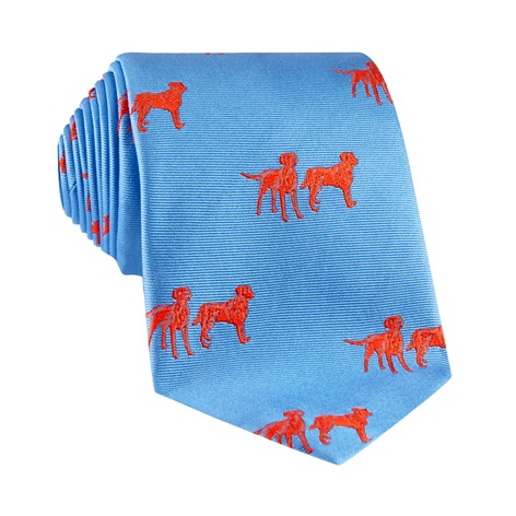 Silk Woven Lab Motif Tie in Sky