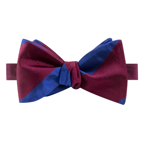 BR183- Royal Welch Fusiliers