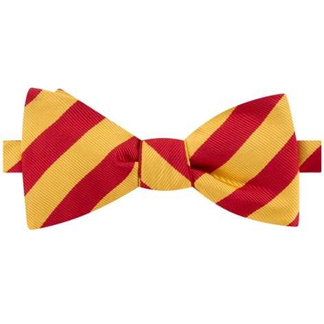 BR207- 9th Lancers Queens Royal