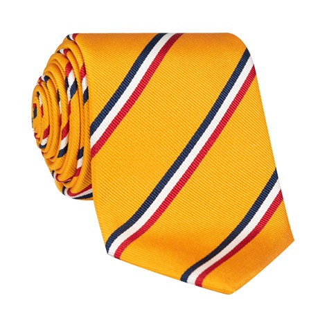 Woven Striped Neckties - The Ben Silver Collection