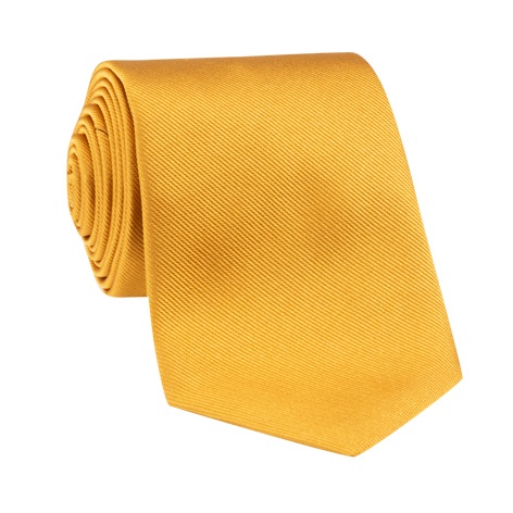 Silk Solid Signature Tie in Golden