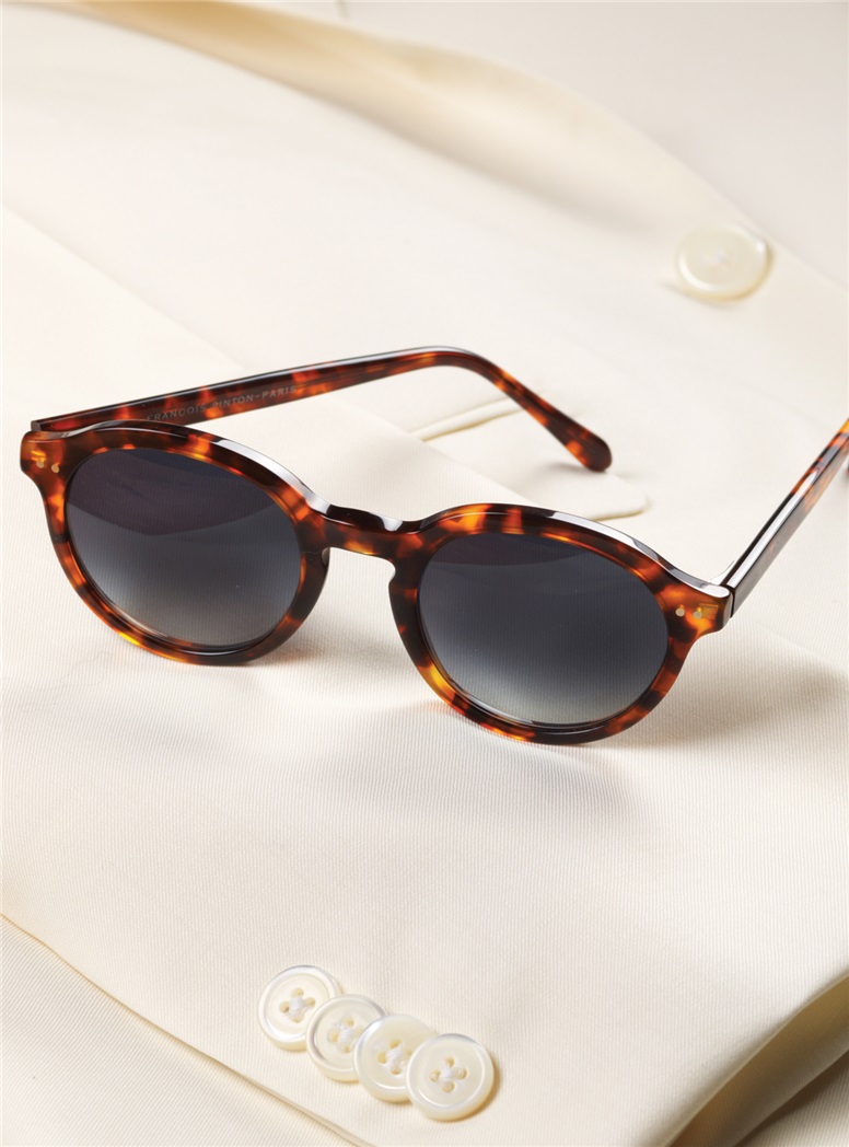 Bold Classic Sunglasses in Dark Tortoise