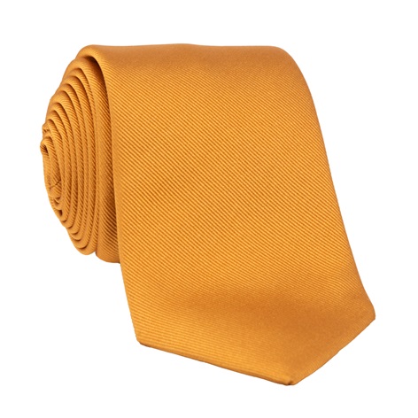 Silk Signature Solid Tie in Amber