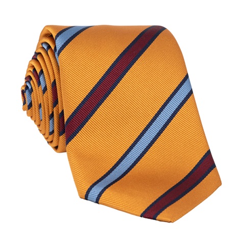 Silk Striped Tie in Amber