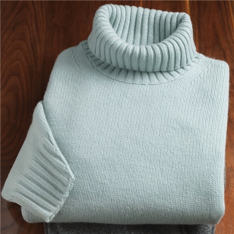 Ladies Cashmere Turtleneck