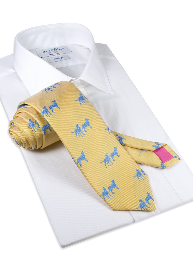 Silk Woven Lab Motif Tie in Sun
