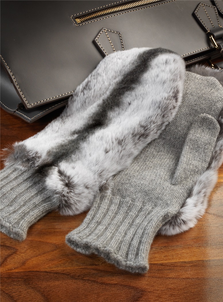 Lds Csh Mitten