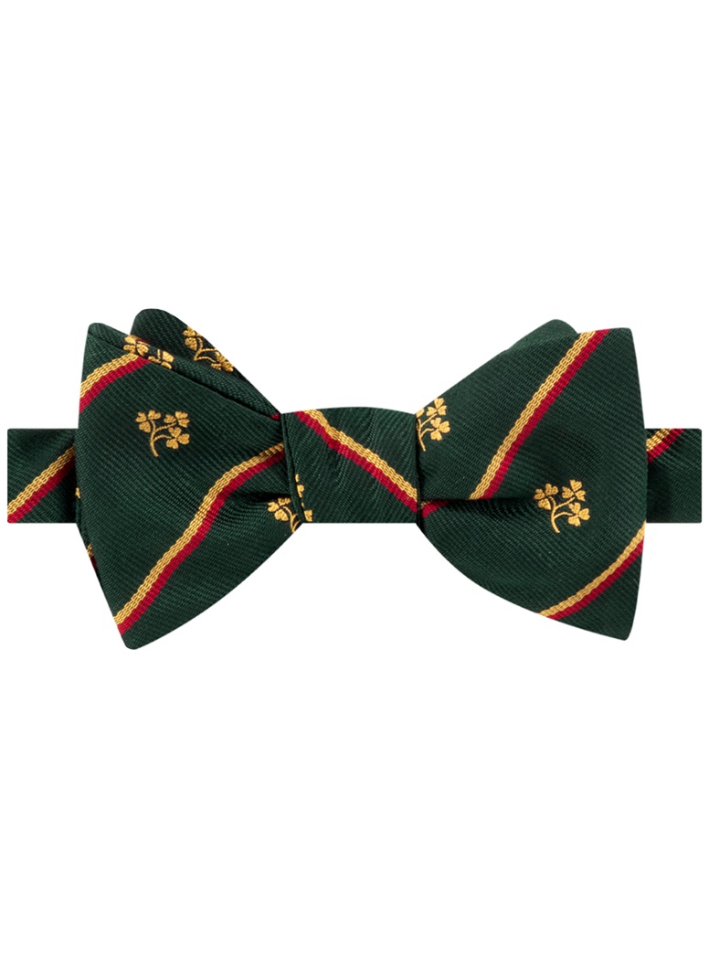 BJ07- Irish Cricket Union