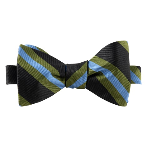 Silk Sriped Bow Tie in Black with Fern & Sky