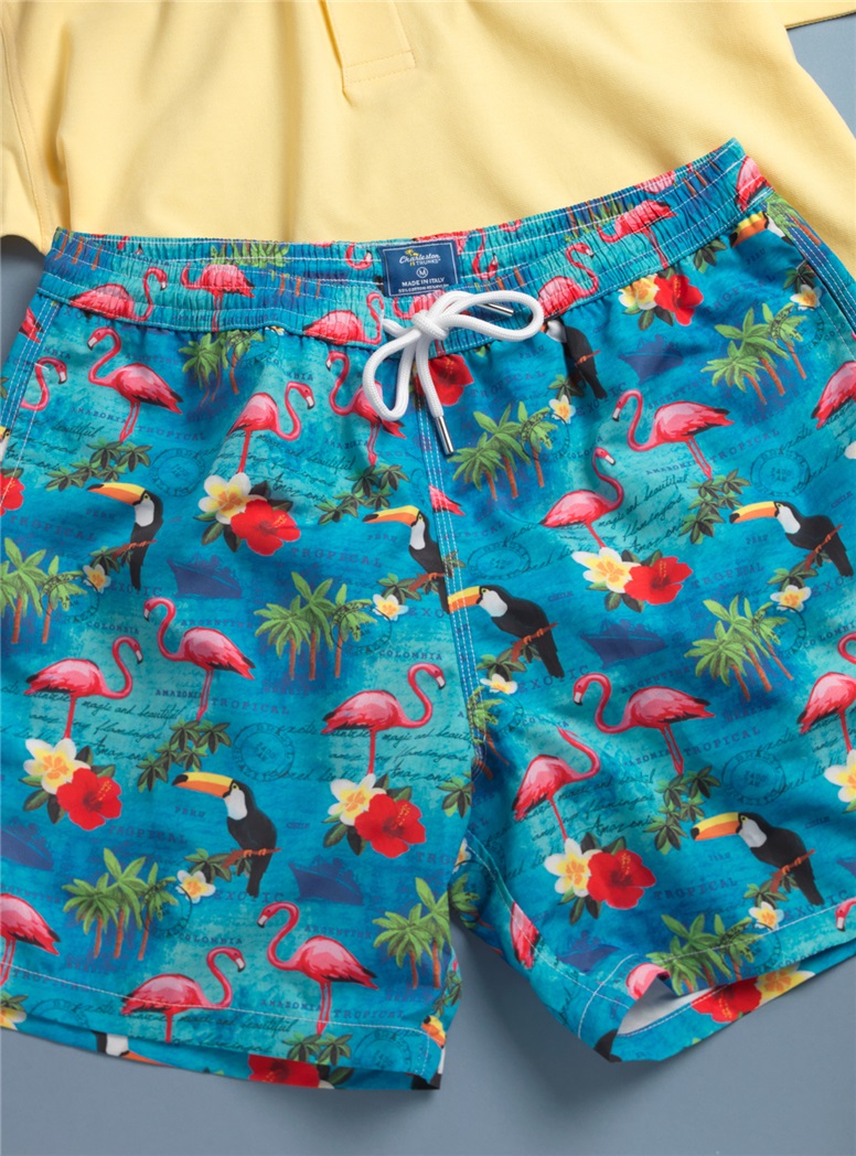 Postcard Print Charleston Trunks