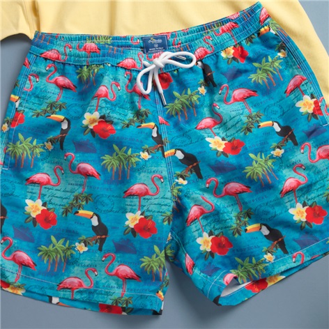 Postcard Print Charleston Trunks