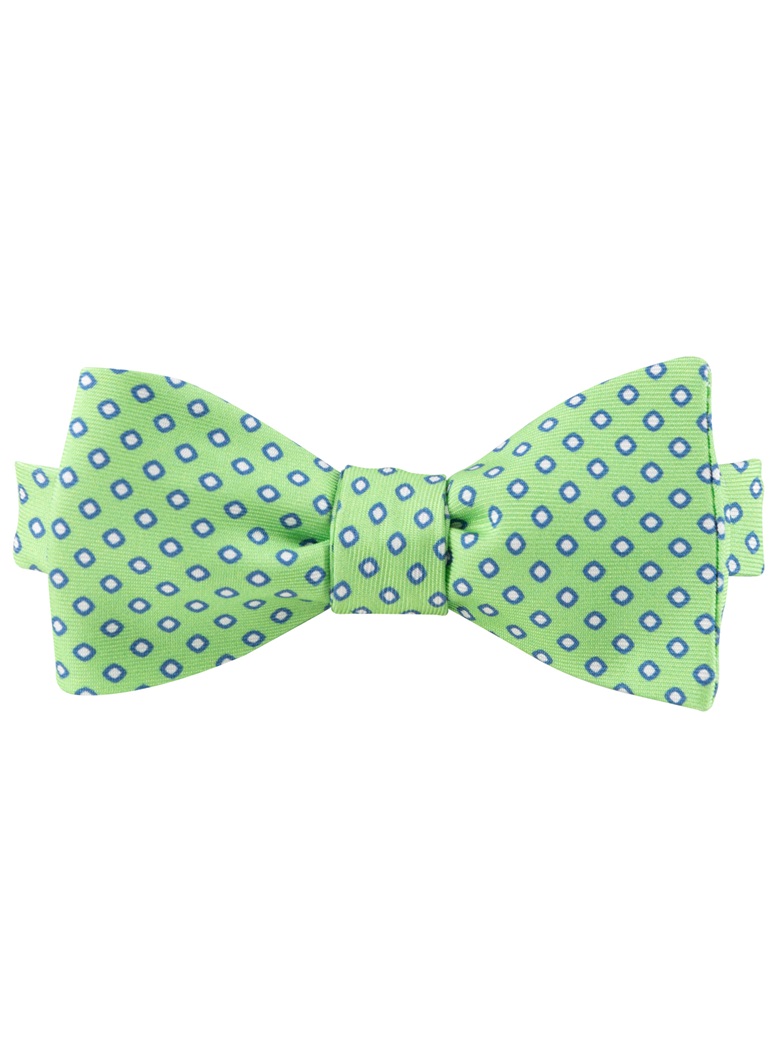 Printed Silk Bow Tie in Apple