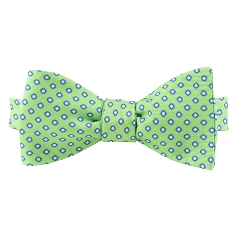 Printed Silk Bow Tie in Apple